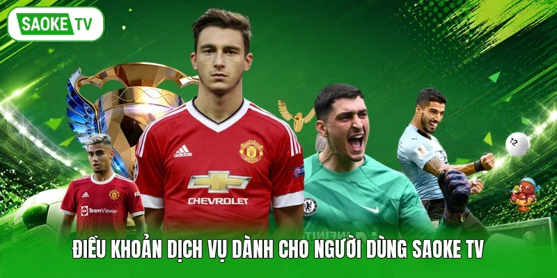 Điều khoản dịch vụ dành cho người dùng Saoke TV