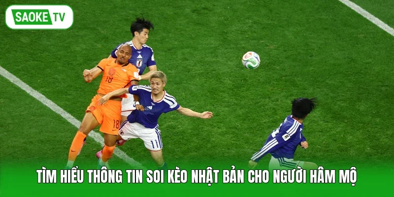 Tìm hiểu thông tin soi kèo Nhật Bản cho người hâm mộ