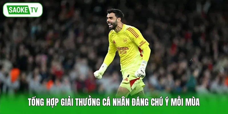 Tổng hợp giải thưởng cá nhân đáng chú ý mỗi mùa