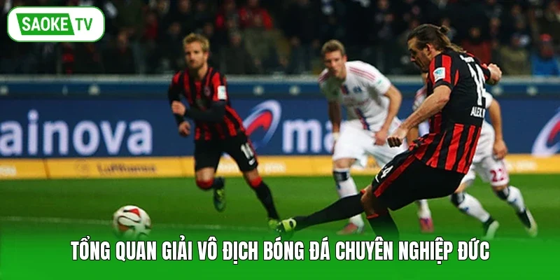 Tổng quan giải vô địch bóng đá chuyên nghiệp Đức